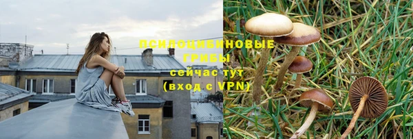 мет Арсеньев