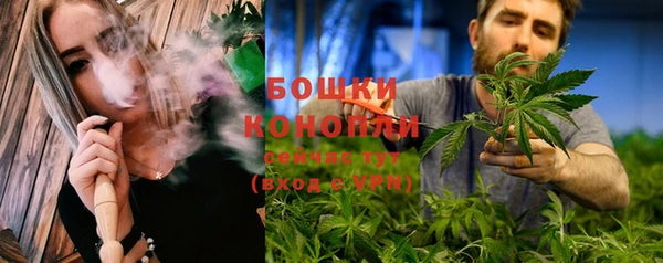 мет Арсеньев