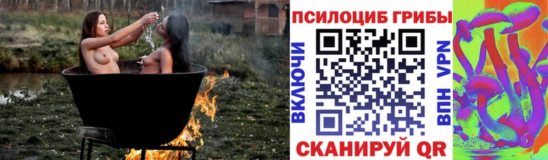 блэк спрут ССЫЛКА  Кемерово  Псилоцибиновые грибы Psilocybine cubensis 